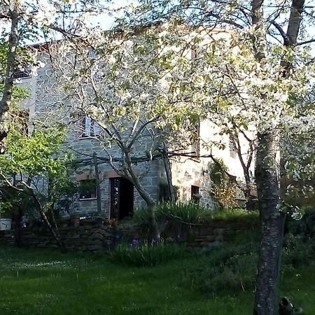 La Fonte B&B Pietralunga  Zewnętrze zdjęcie