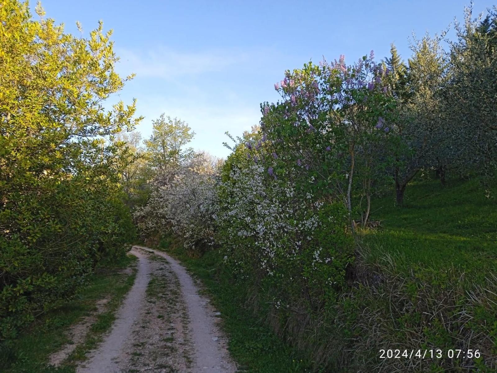 La Fonte B&B Pietralunga  Zewnętrze zdjęcie