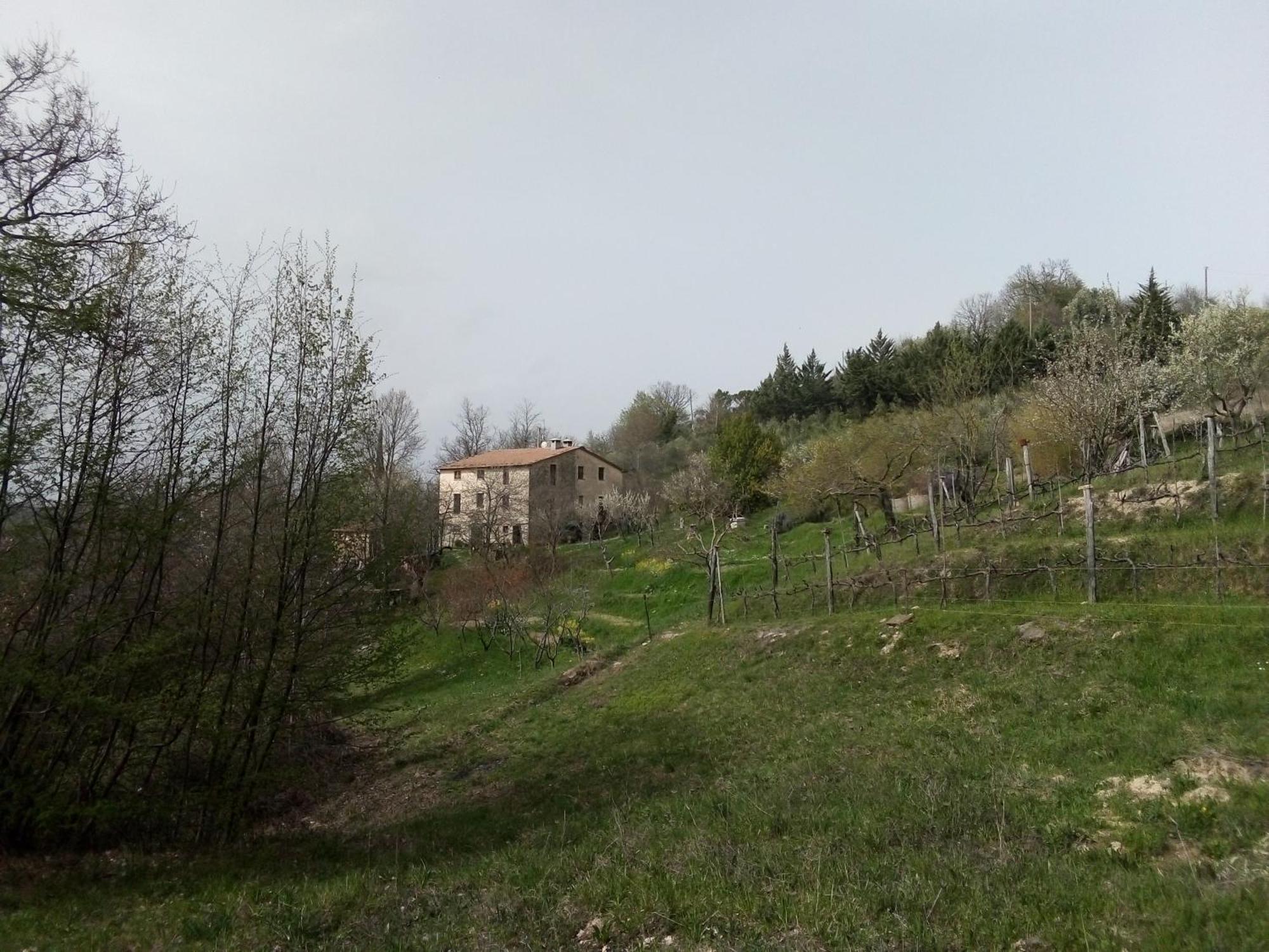 La Fonte B&B Pietralunga  Zewnętrze zdjęcie