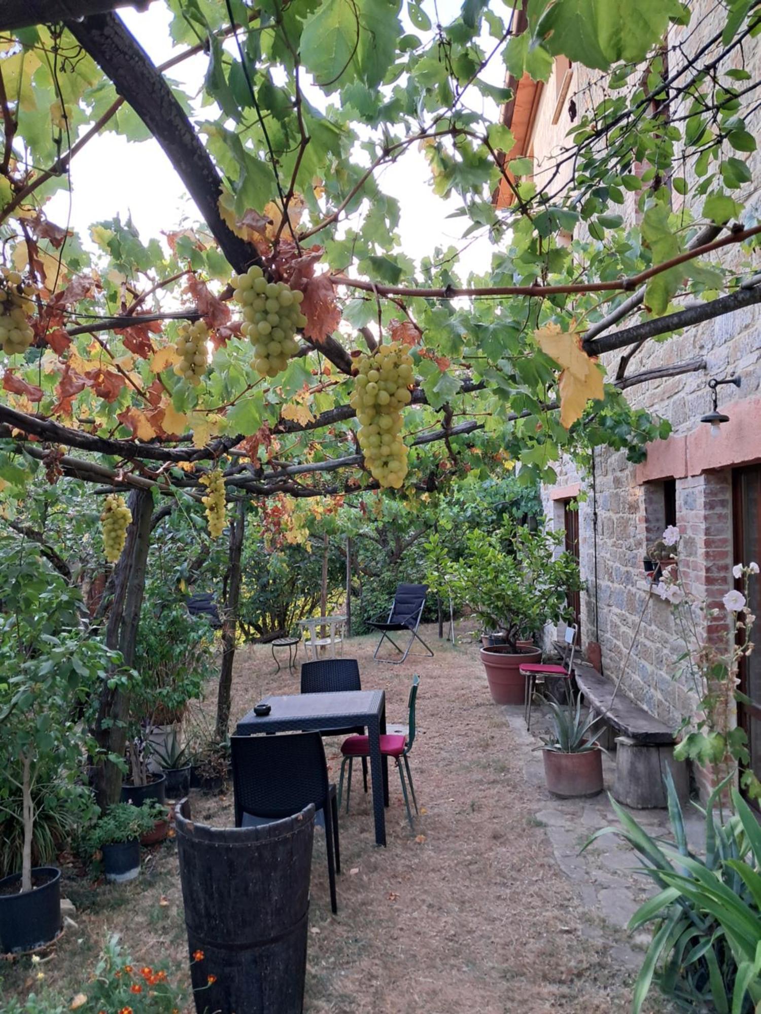 La Fonte B&B Pietralunga  Zewnętrze zdjęcie
