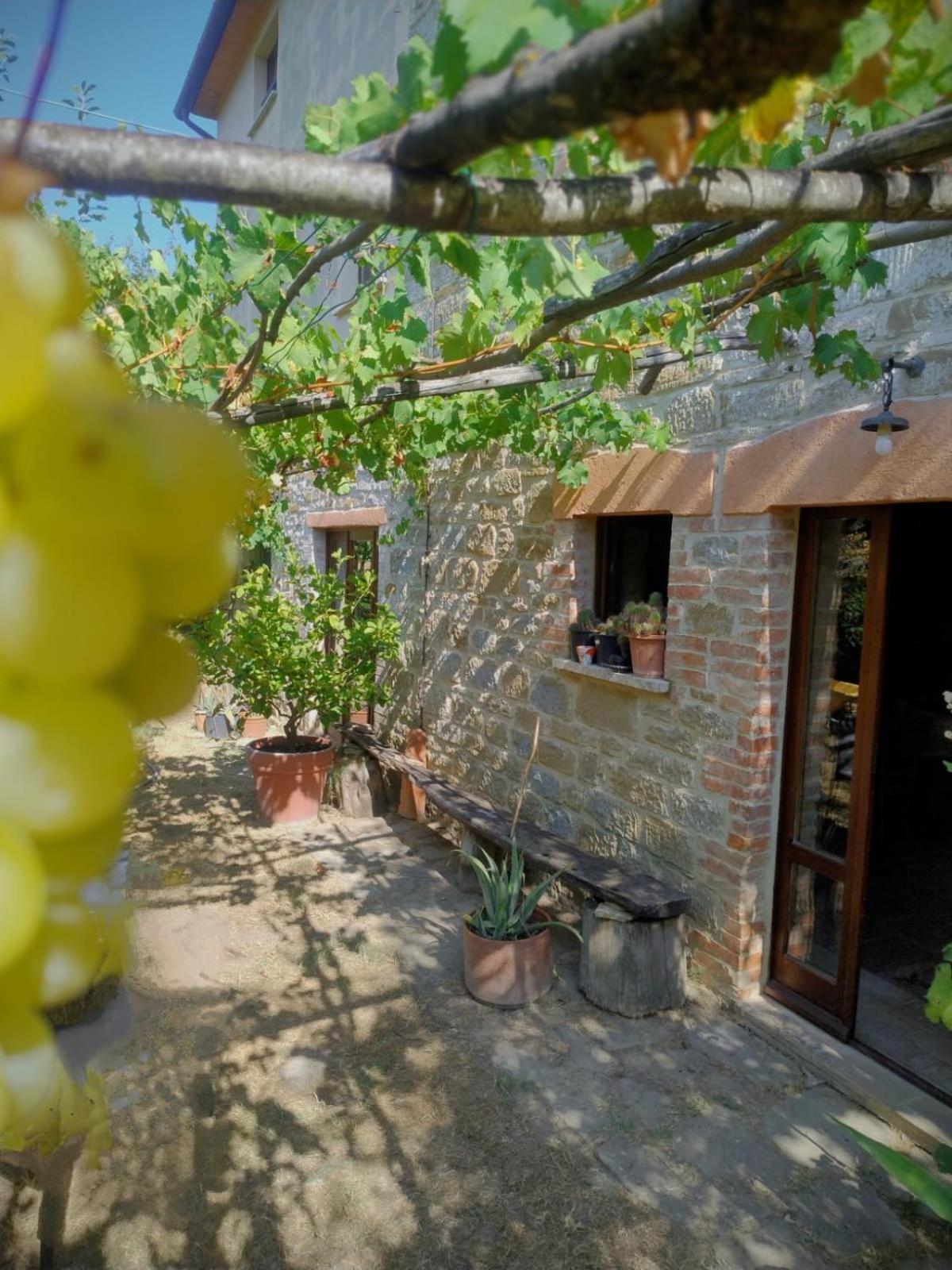 La Fonte B&B Pietralunga  Zewnętrze zdjęcie