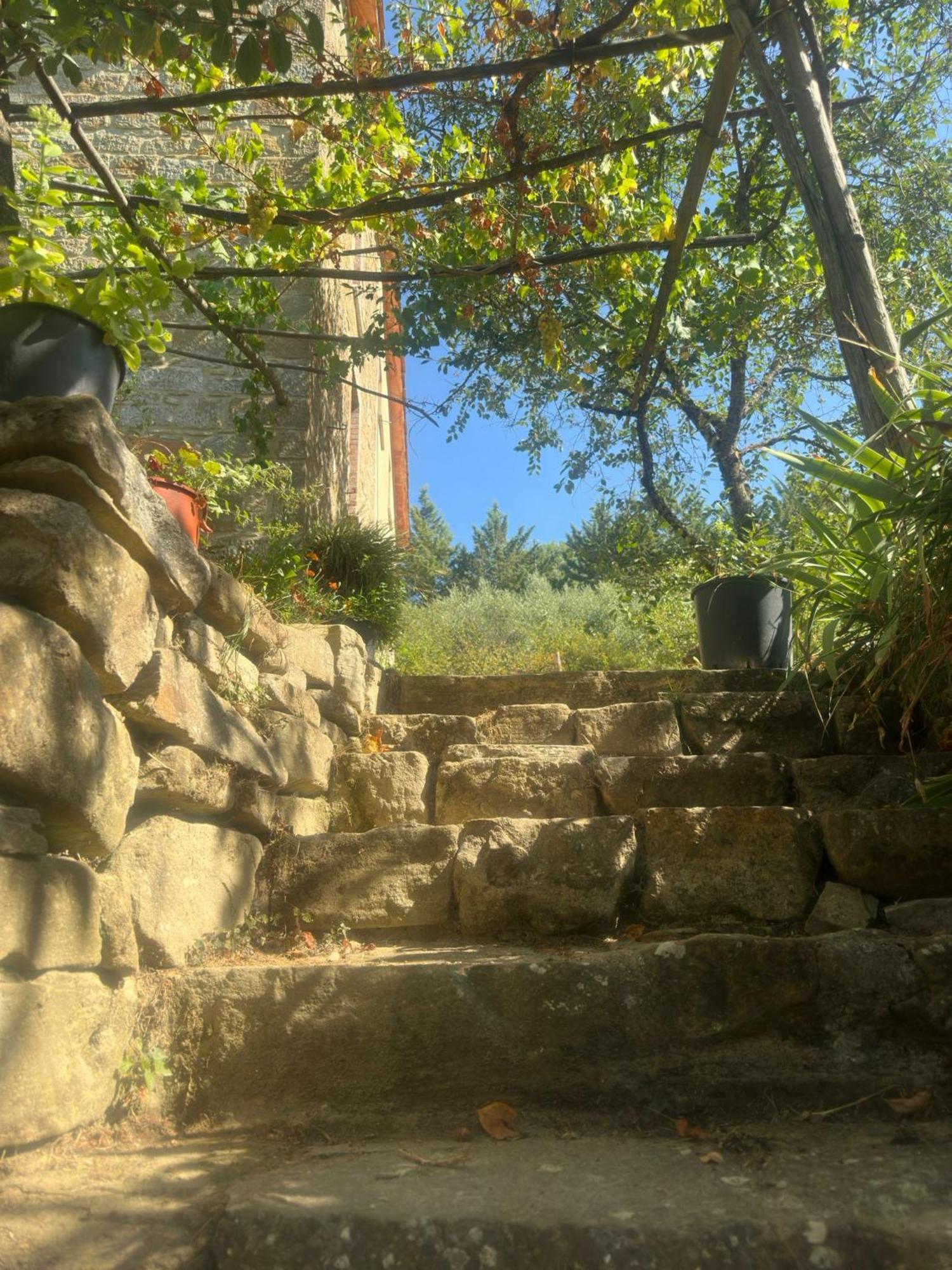 La Fonte B&B Pietralunga  Zewnętrze zdjęcie
